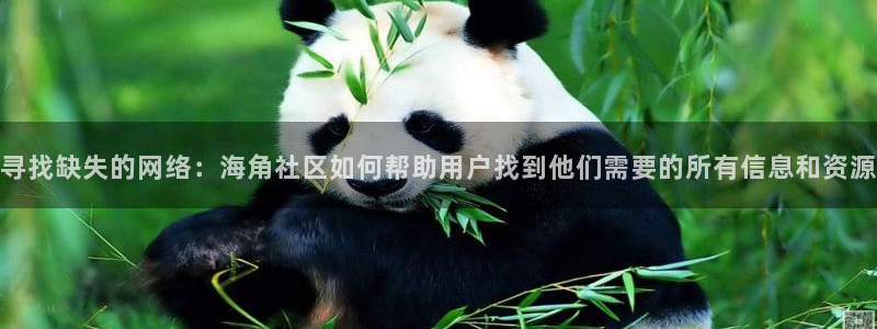 海角社区免费声音：寻找缺失的网络：海角社区如何帮助用户找到他们需要的所有信息和资源
