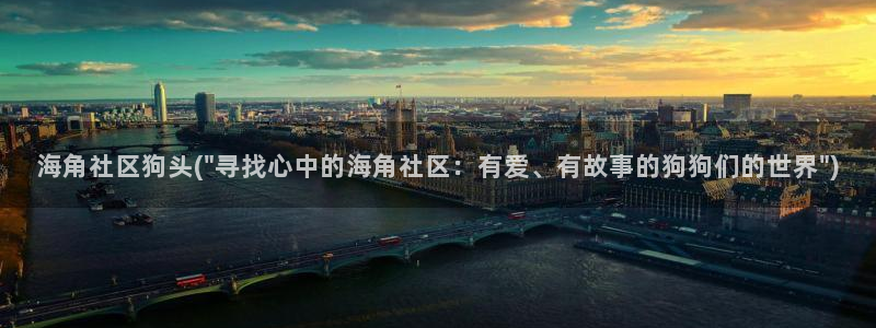 海角社区最新通地址：海角社区狗头(\