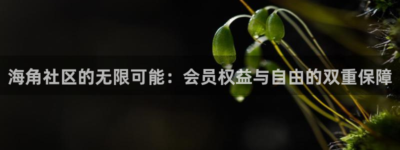 海角社区61f：海角社区的无限可能：会员权益与自由的双重保障