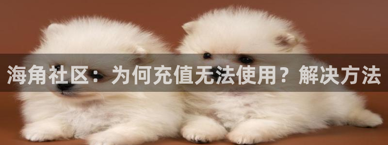 海角社区面试：海角社区：为何充值无法使用？解决方法