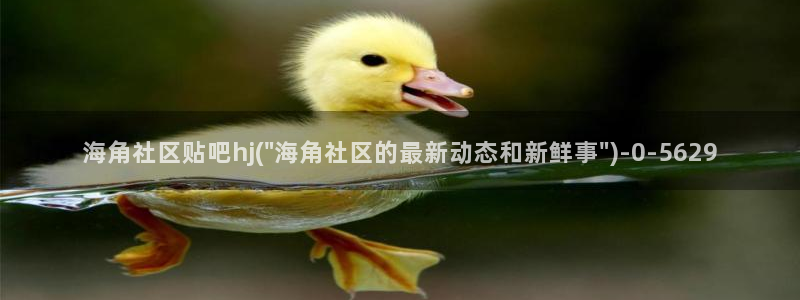 海角社区海角大新闻