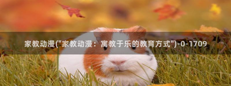 BL动漫