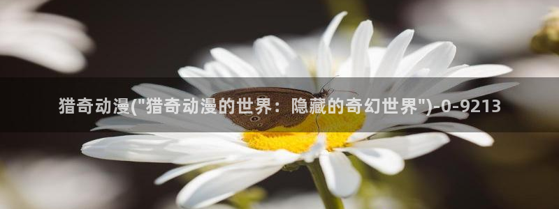 日本动漫在线