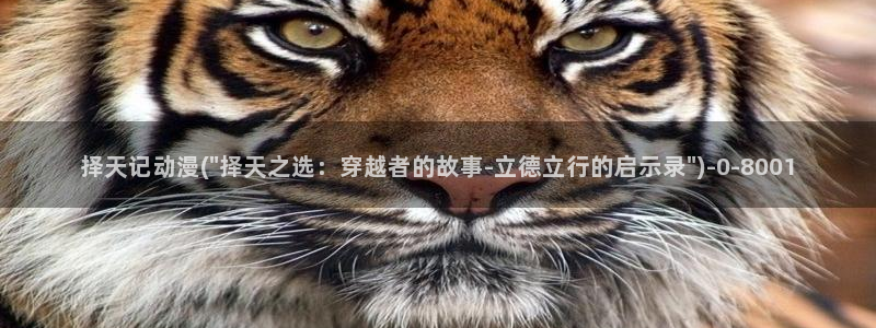 阅文动漫
