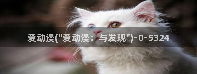 动漫壁纸：爱动漫(\