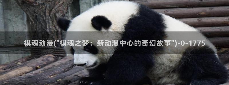 动漫卡通：棋魂动漫(\